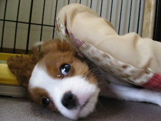 なに？