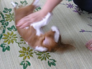 動いていると流れてしまいます。