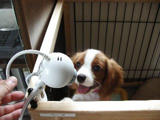 3ヶ月でずいぶん大きくなりました