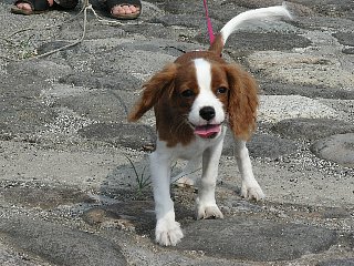 やっと下に降りれた